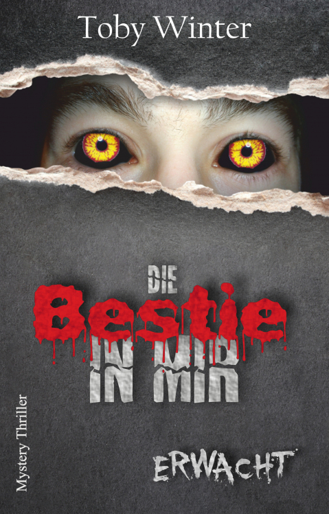Der Kodex Buchcover